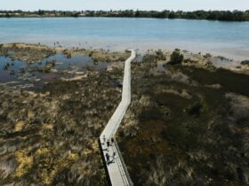 Aerial view of Lake Richmond boardwalk with lake in the background