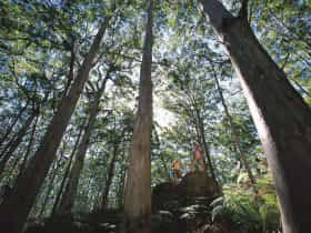 Leeuwin-Naturaliste National Park - Leeuwin
