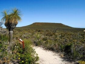 Lesueur National Park, Jurien Bay, Western Australia
