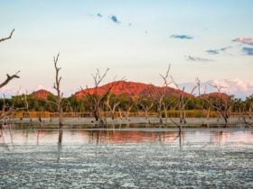 Lily Creek Lagoon, Kununurra, Western Australia