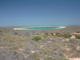 Little Lagoon, Denham, Western Australia