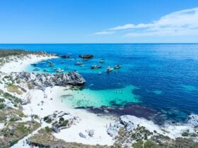 Aerial of Little Parakeet Bay