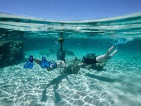Snorkeling at Little Salmon Bay