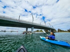 A kayaker near Mandurah Estuary Bridge