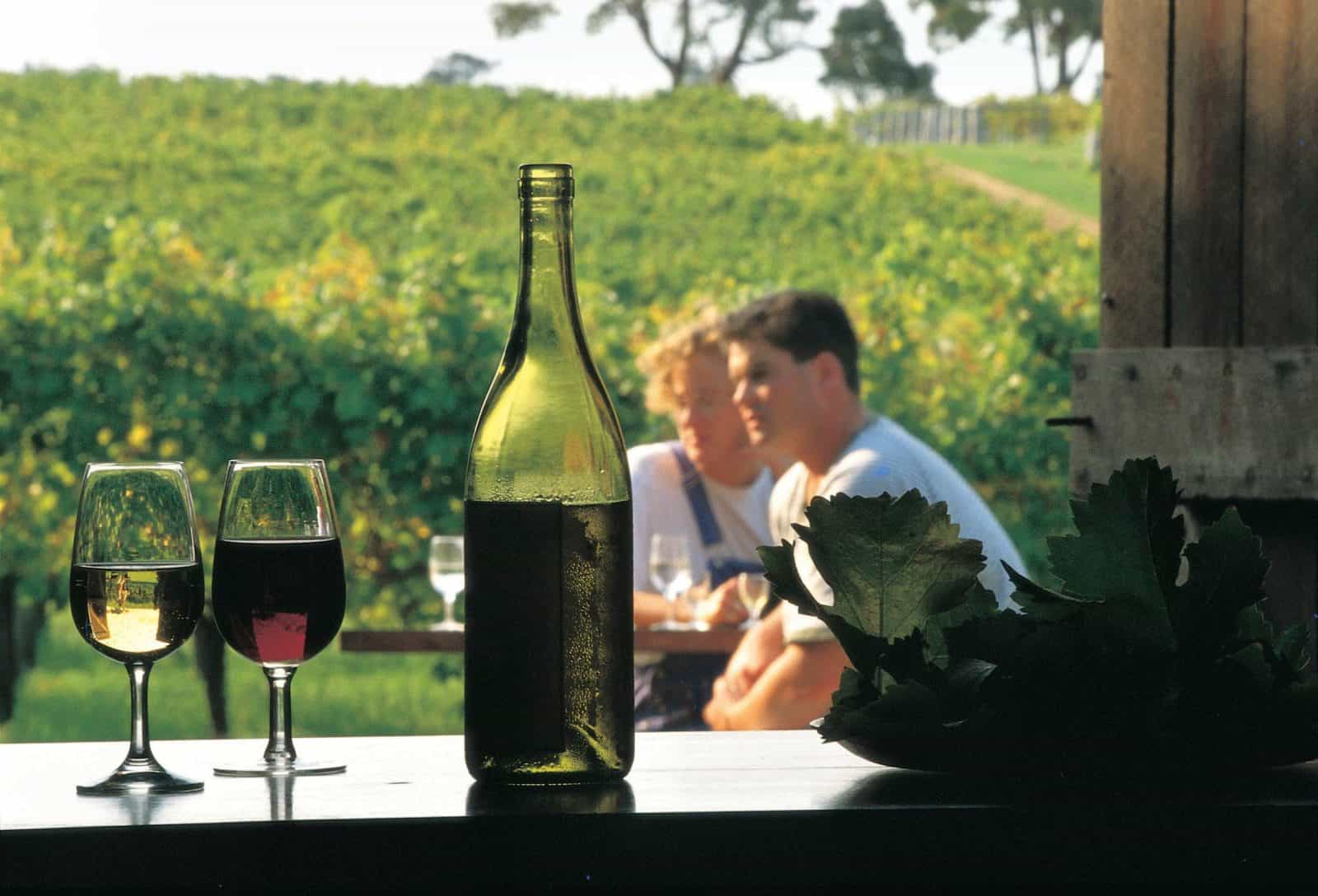 Margaret River Certified Organic and Biodynamic Wine Trail, Margaret River, Western Australia