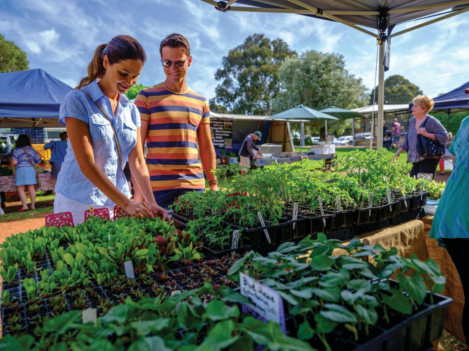 Margaret River Farmers Market, Margaret River, Western Australia
