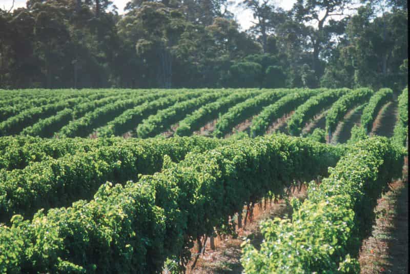 Margaret River Food and Beverage Cycle Trail, Margaret River, Western Australia