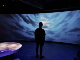 Busselton Jetty Marine Discovery Centre