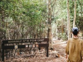 Marrinup Trail, Dwellingup, Western Australia