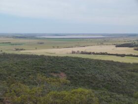 Mount O