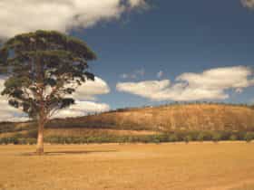 Mount Stirling, Quairading, Western Australia