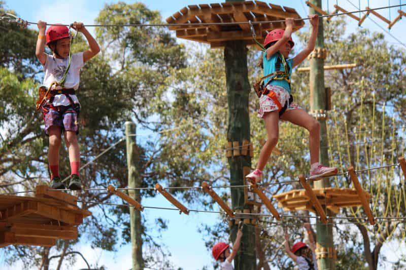 Next Level Monkey Business, Dunsborough, Western Australia