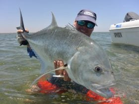 Ningaloo Fly Fishing, Exmouth, Western Australia