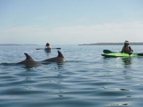 Osprey Waters - Peel Inlet Paddle Trail, Mandurah, Western Australia