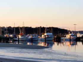 Oyster Harbour, Albany, Western Australia