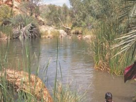 Palm Springs, Halls Creek, Western Australia