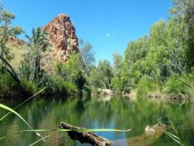 Freshwater swimming hole with rocky outcrop visible in the background and lush green plants