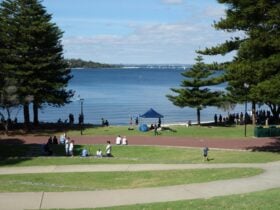 View of the river and large grassed areas where people are seated.