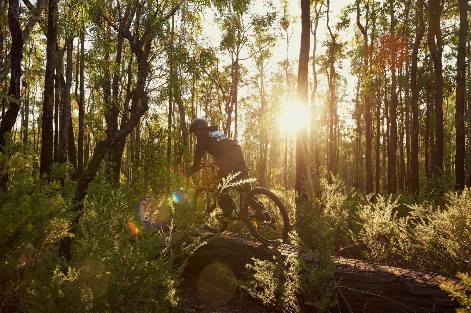 Rays Trail, Arklow Trails, Collie, Western Australia