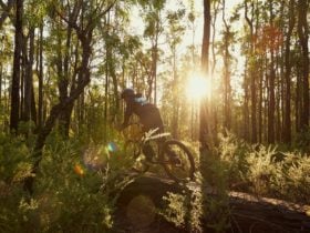 Rays Trail, Arklow Trails, Collie, Western Australia