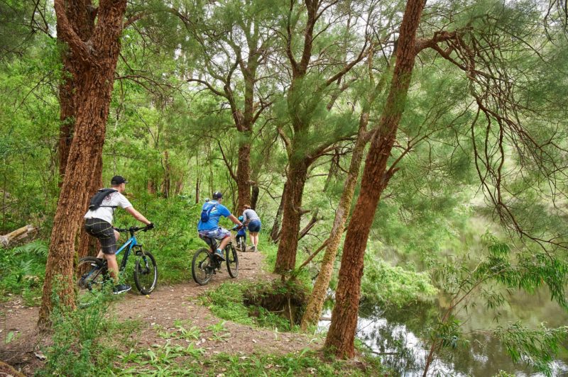 Relentless Blue, Pemberton Mountain Bike Park, Pemberton, Western Australia
