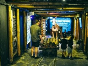 Coal Mine Experience