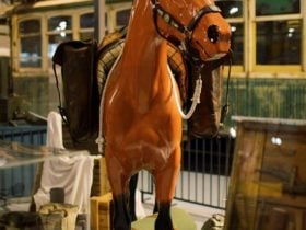 Revolutions Transport Museum, Whiteman, Western Australia