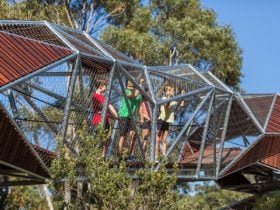 Rio Tinto Naturescape Kings Park, Perth, Western Australia
