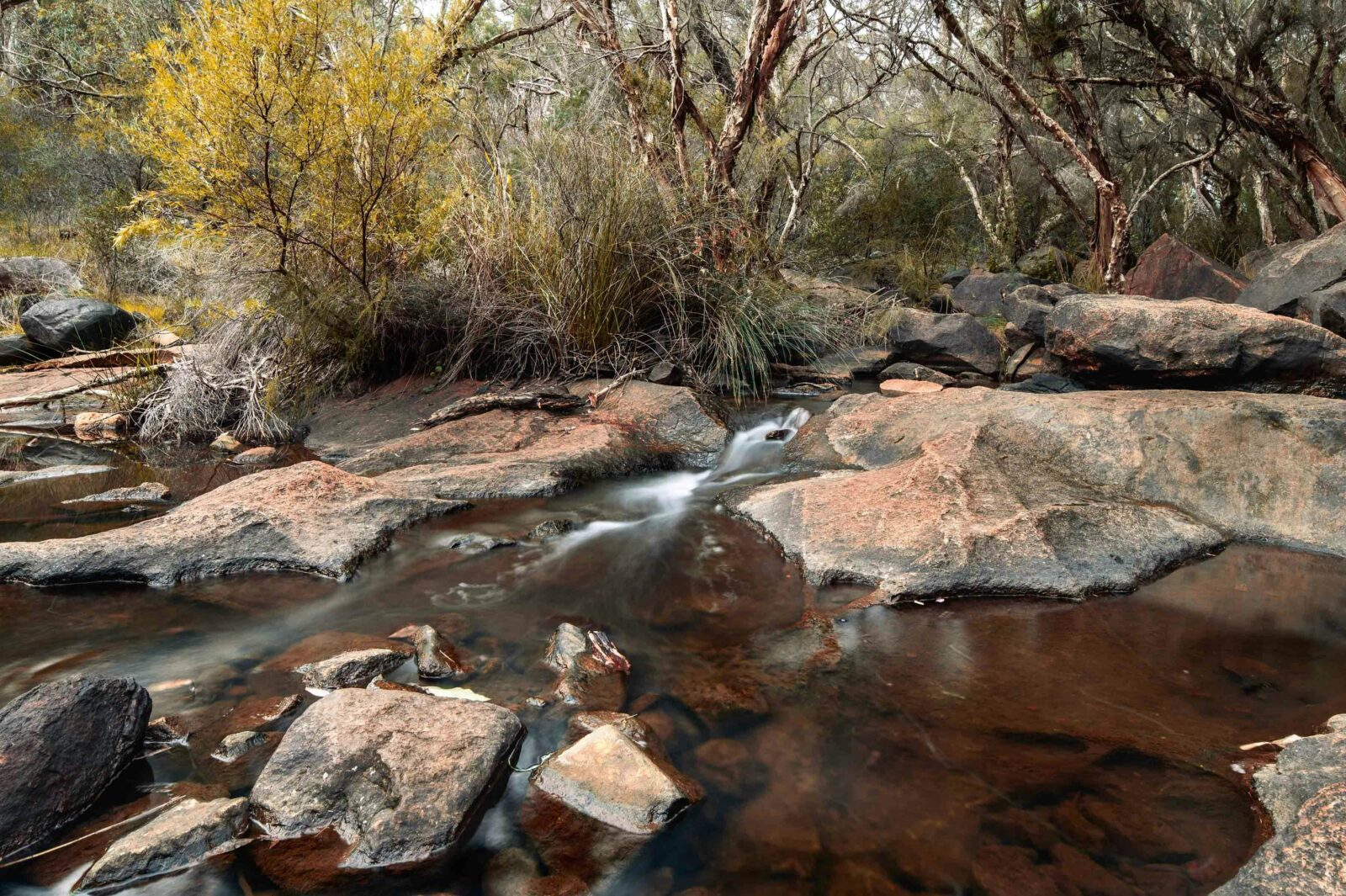 Rocks, water, tree