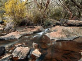 Rocks, water, tree