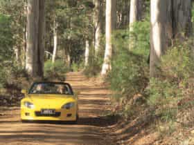 Scotsdale Tourist Drive, Denmark, Western Australia