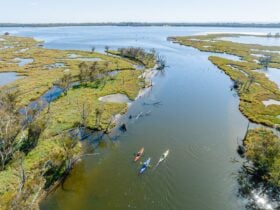 Kayaking on Serpentine River in Mandurah