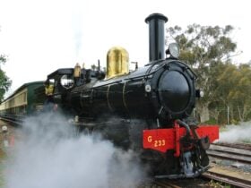 Laschenault Lady in Steam