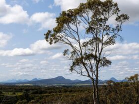 Sukey Hill Lookout