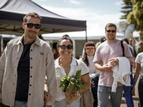 Visitors enjoying the sunshine