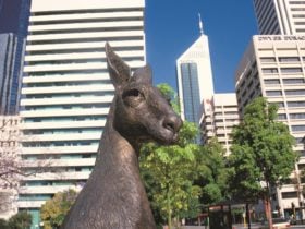 Supreme Court Gardens, Perth, Western Australia