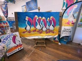 Pelican love