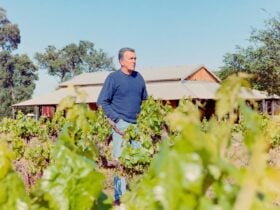 James Talijancich - Old Vine Charter