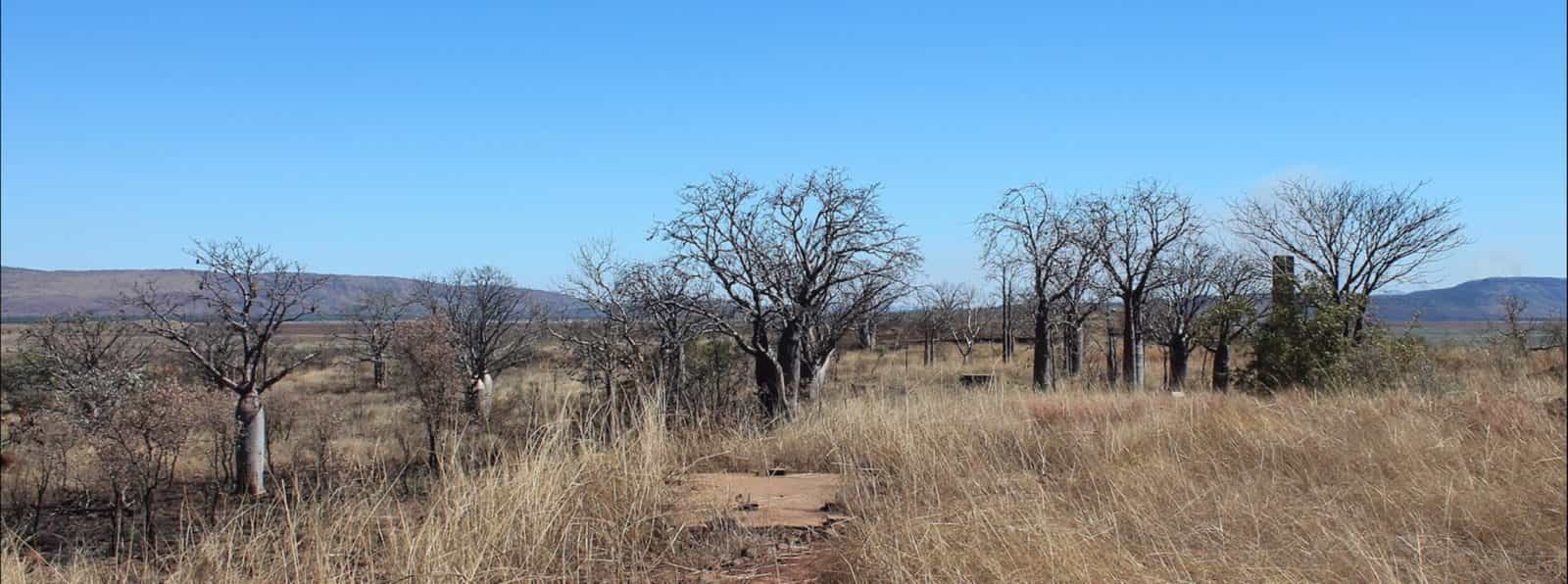 Telegraph Hill, Wyndham, Western Australia