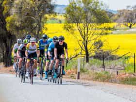 he Heron's Highway - Avon River Cycle Trail, York, Western Australia