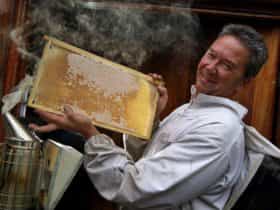 The House of Honey, Herne Hill, Western Australia