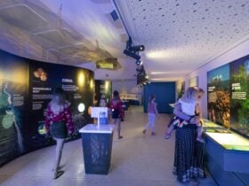 The Ningaloo Centre, Exmouth, Western Australia