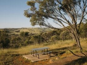 Picnic table in Toodyay