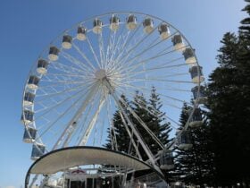 Fremantle Tourist Wheel