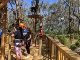Trees Adventure, Yanchep Park, Western Australia