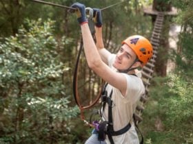 Man on tree ropes course