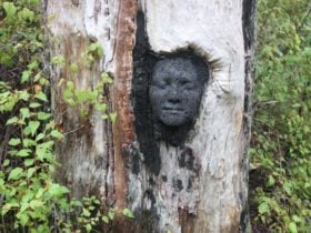 Understory Art & Nature Trail, Northcliffe, Western Australia