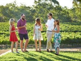 Upper Reach Winery and Spa Cottage, Baskerville, Western Australia