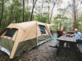 Warren National Park, Western Australia