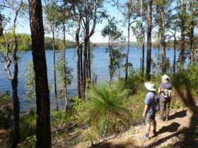 Wellington Discovery Forest, Bunbury, Western Australia